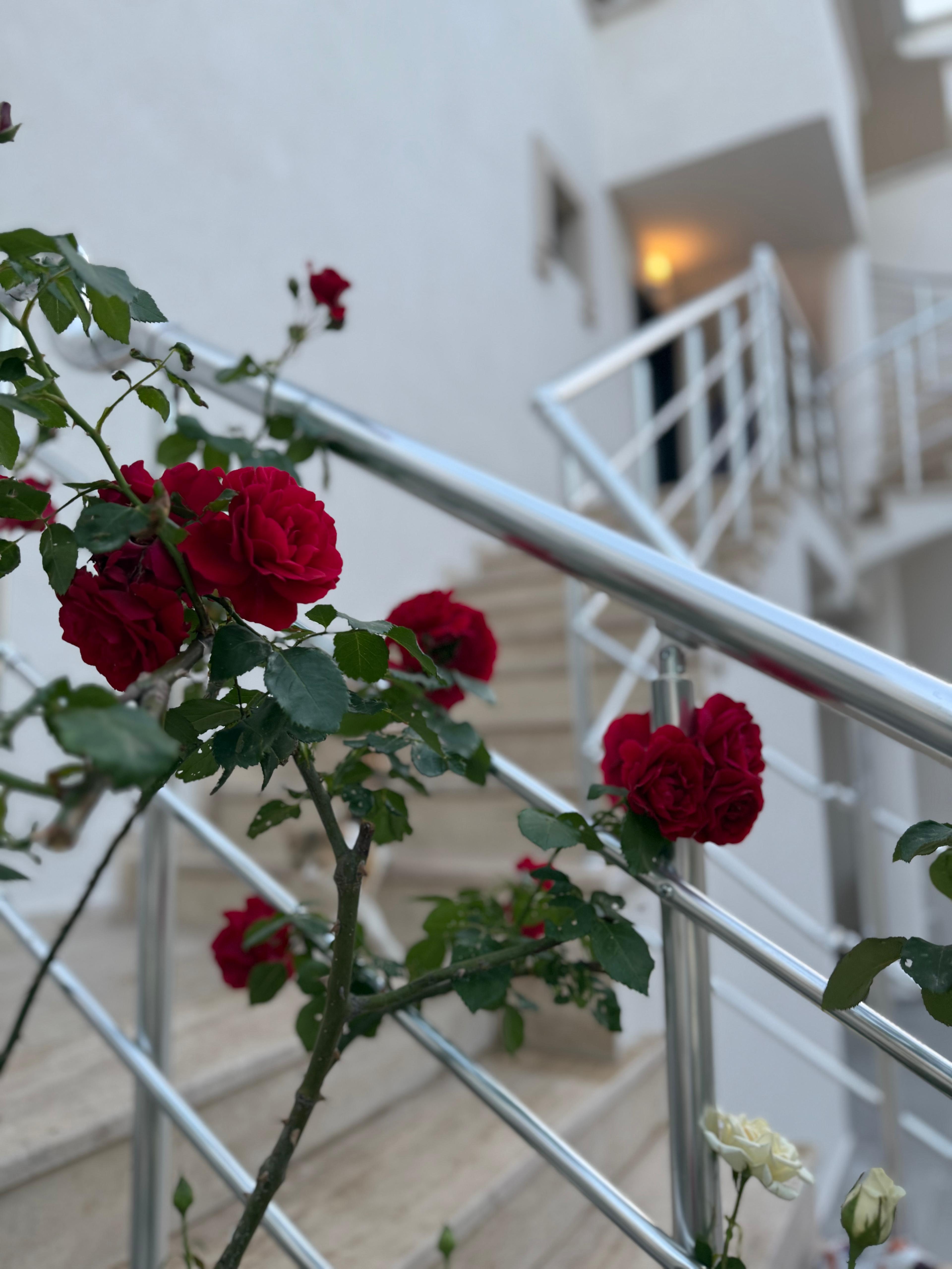 Atlas Suit Hotel Akçay