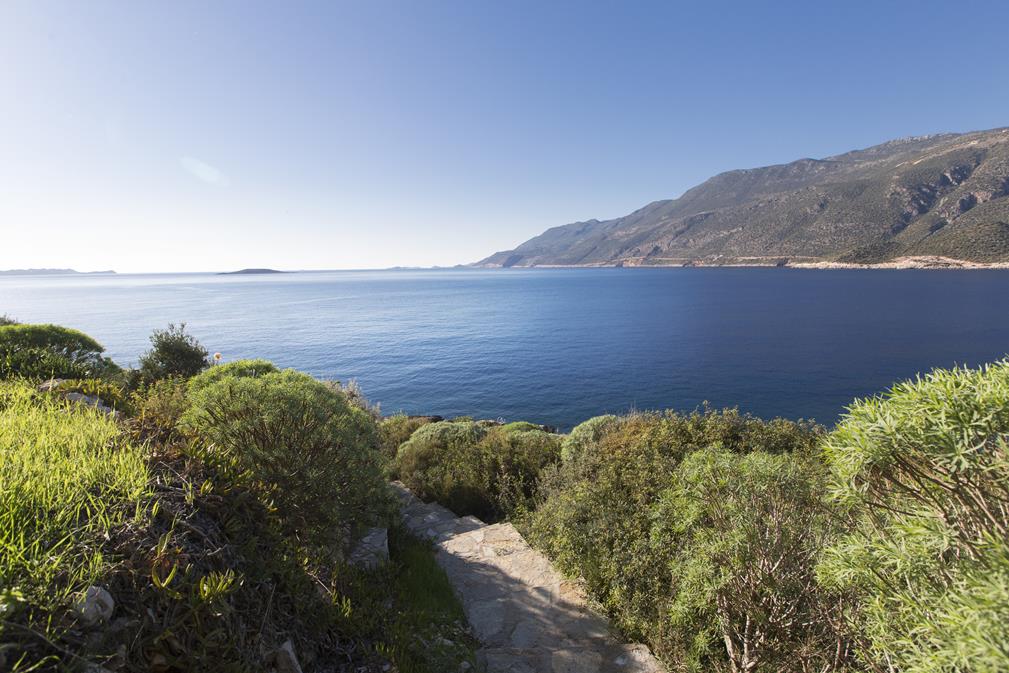Capehouse Villa