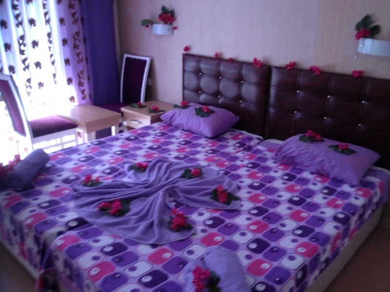 Daisy Garden Hotel