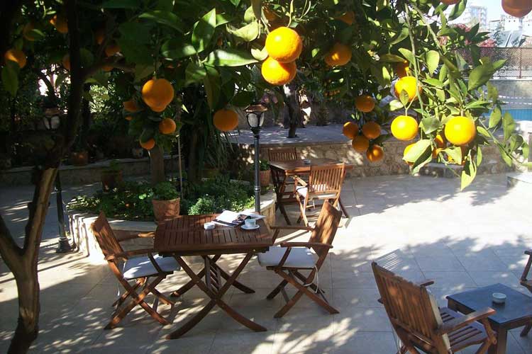 Deja Vu Boutique Hotel