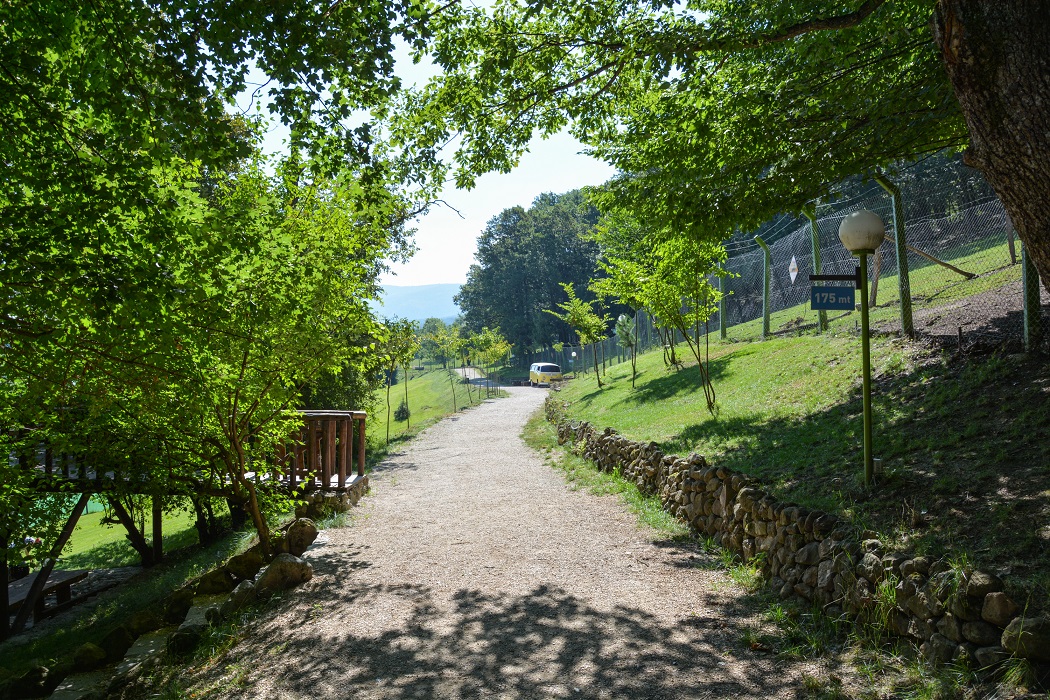 Gazelle Resort SPA