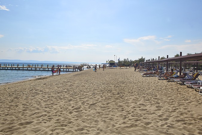 Grand Temizel