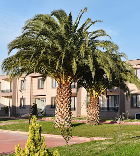 Heramis Termal Tatil Köyü