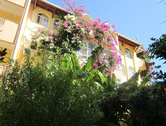 Hotel Marin