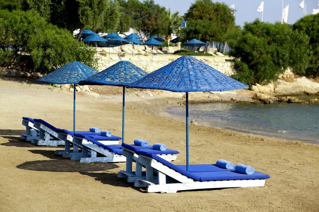 Maya Bistro Hotel Beach