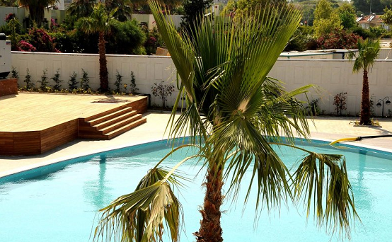 Orfeus Queen Hotel & SPA
