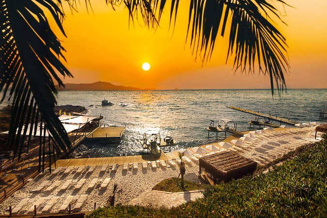 Palmalife Resort