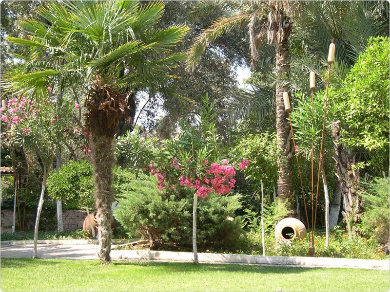 Paloma Sentido Marina Suites