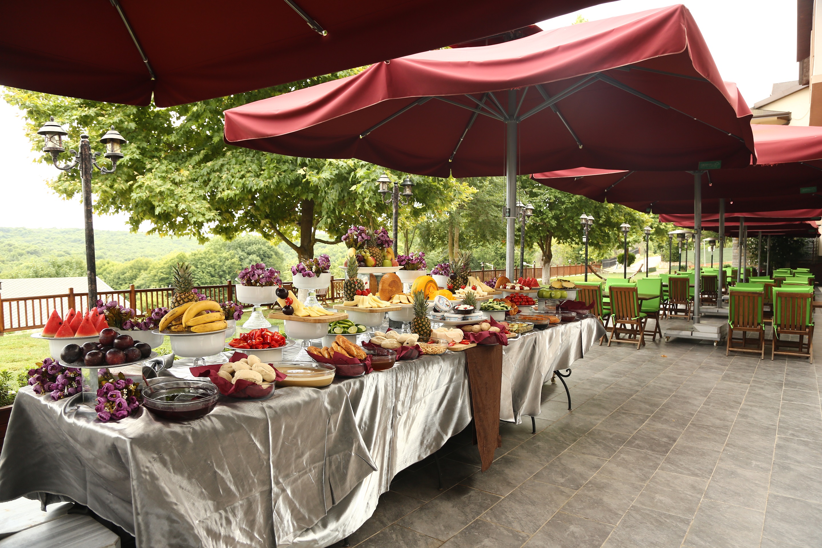 Park Hotel Polenezköy