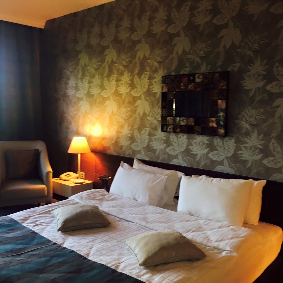 Park Hotel Polenezköy