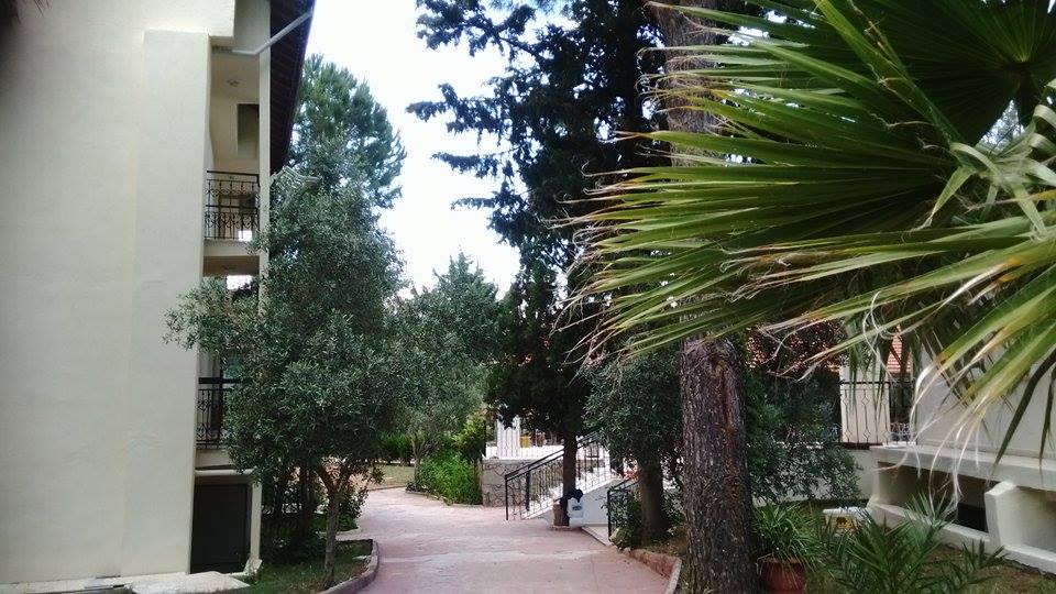 Petitpan Club Hotel