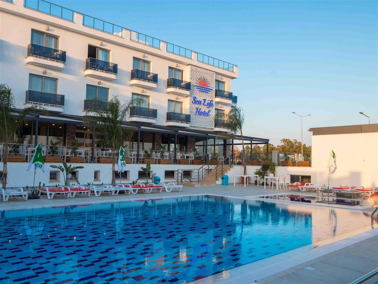 Sea Lİfe Long Beach