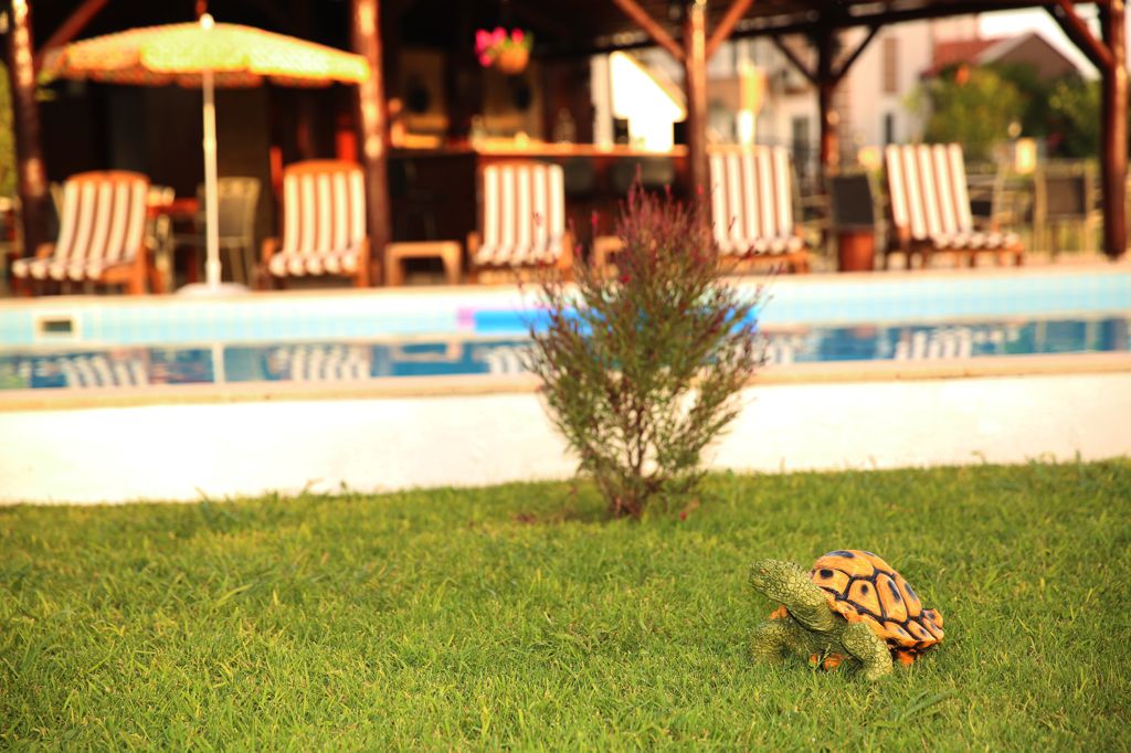 Sunshine Boutique Hotel