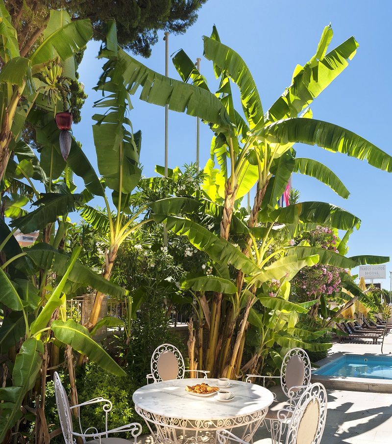 Temple Miletos Hotel