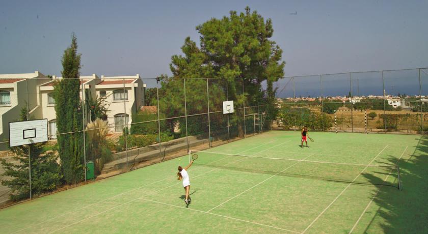 The Olive Tree Otel