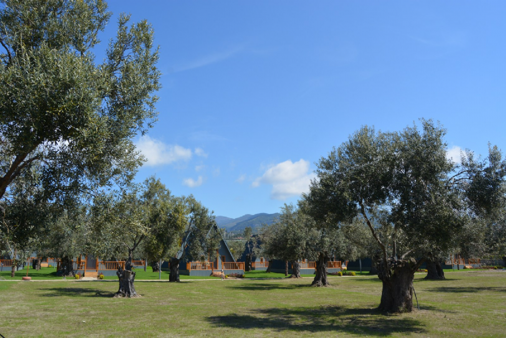 Verde Blu Hotel