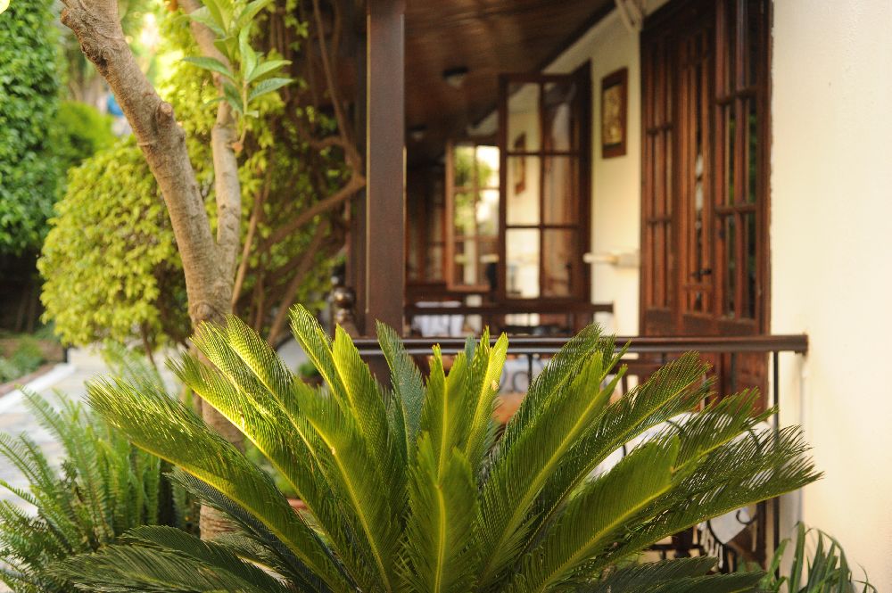 Villa Daffodil Hotel