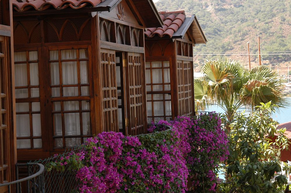 Villa Daffodil Hotel