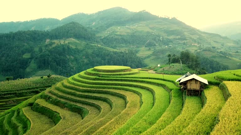 BALİ VE PHUKET ILE FENOMEN UZAK DOĞU TURU Singapore Airlines ile 9 gece