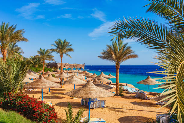 Bayrama Özel MAXI HER ŞEY DAHİL SHARM EL SHEIKH TURU Türk Hava Yolları Özel Seferi ile 4 gece