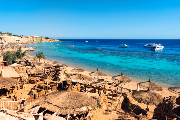 Bayrama Özel MAXI HER ŞEY DAHİL SHARM EL SHEIKH TURU Türk Hava Yolları Özel Seferi ile 4 gece
