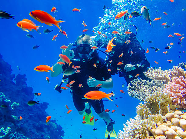 Bayrama Özel MAXI HER ŞEY DAHİL SHARM EL SHEIKH TURU Türk Hava Yolları Özel Seferi ile 4 gece