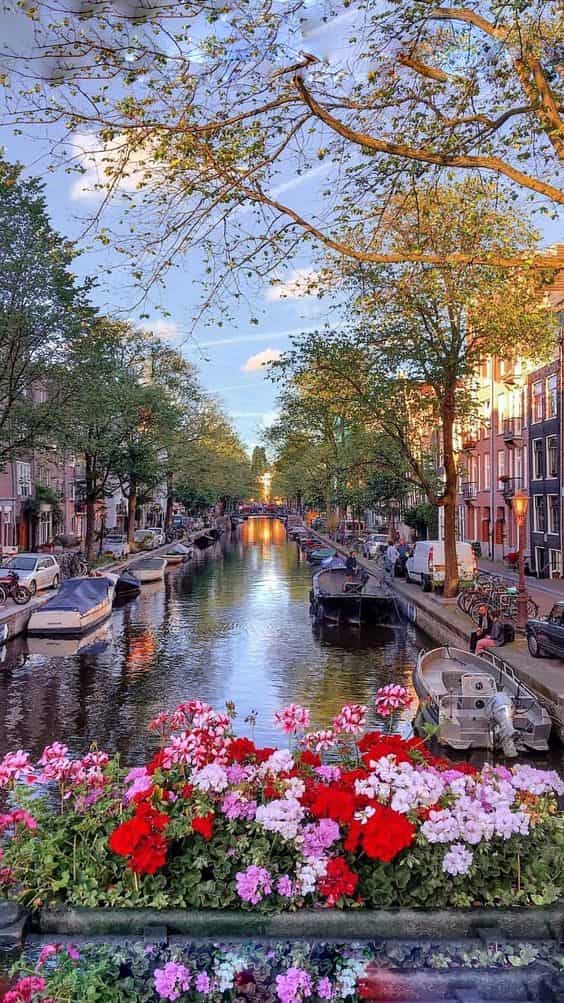 Grand Benelux & Paris & Alsace ve İsviçre Turu BSL-AMS