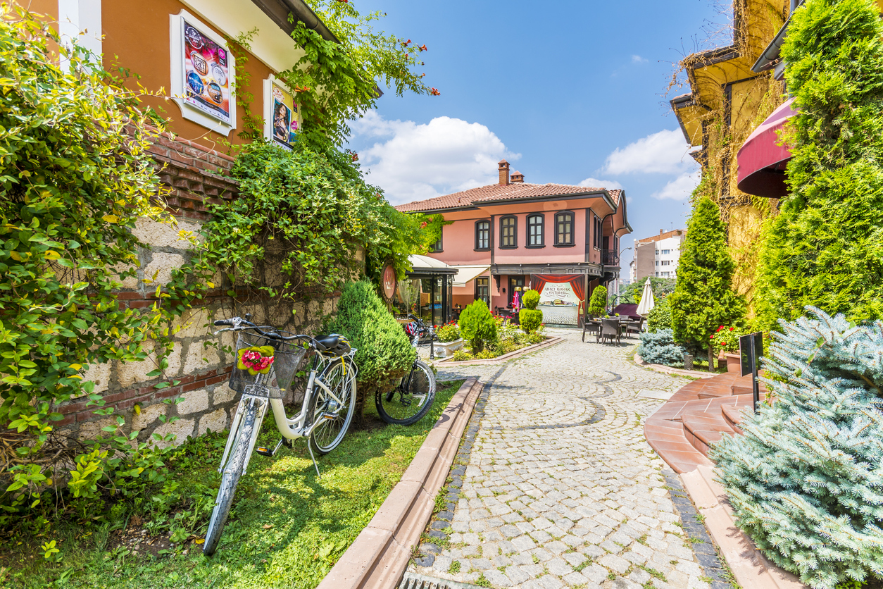 Günübirlik Eskişehir Odunpazarı Turu