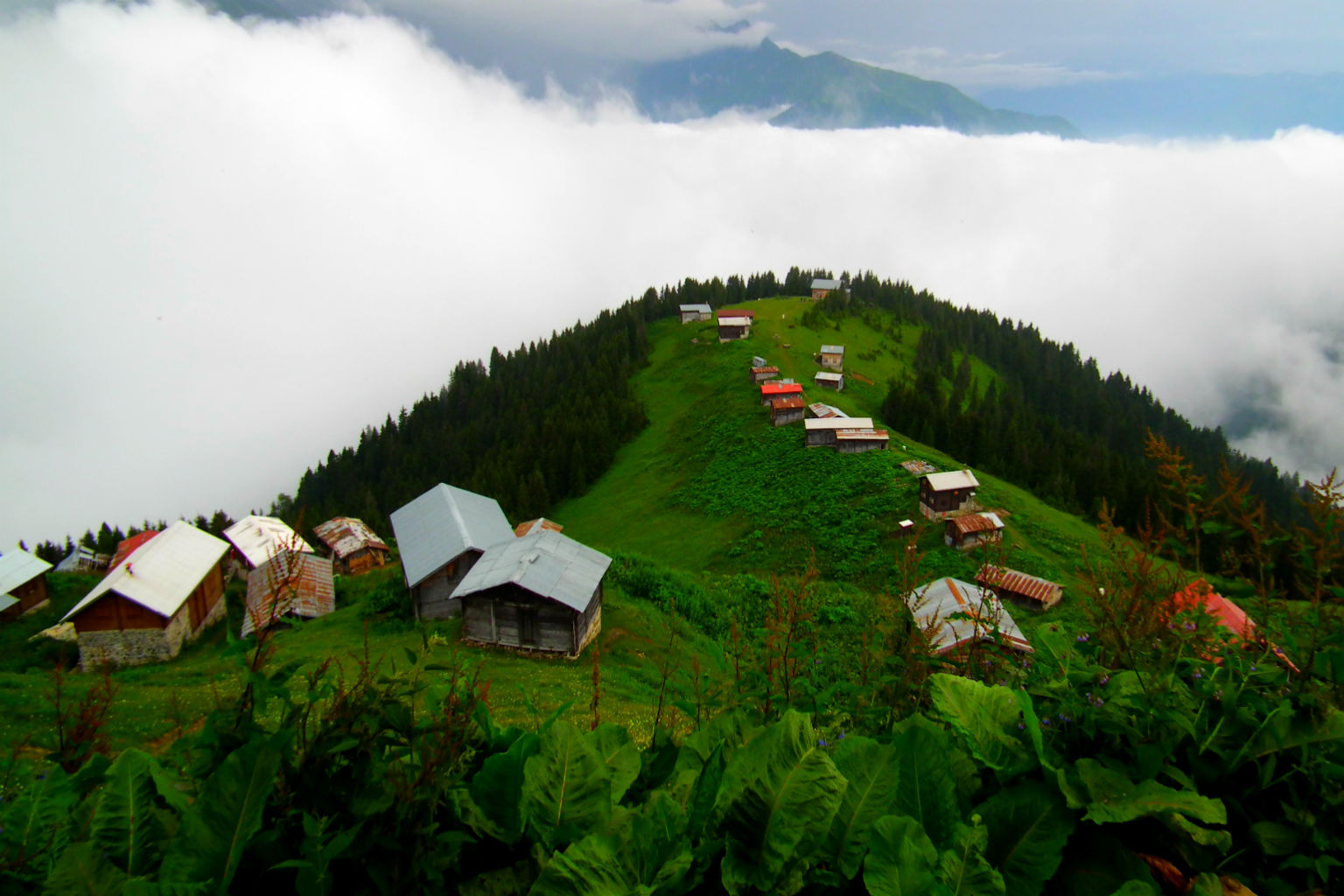 Karadeniz Rüzgarı Ve Batum Turu 5 Gece