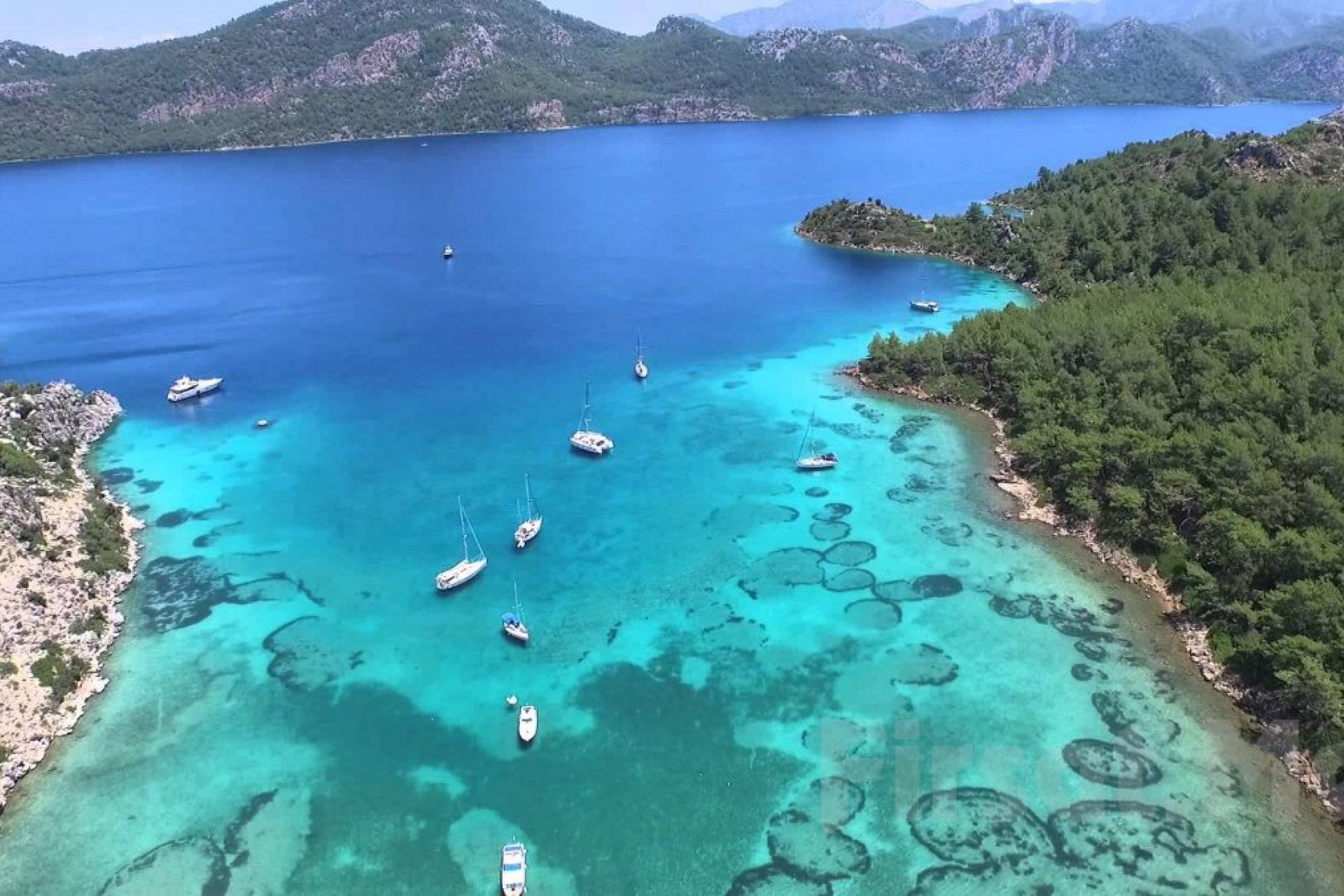 Kurban Özel Bodrum Gökova Didim Turu