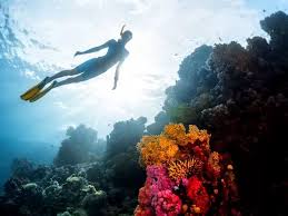 PGS ile Sharm el Sheikh Turu 4 Gece 5 Gün 14.11.2024 (Ara Tatil Dönemi)