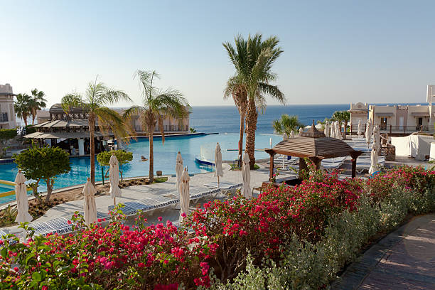 Ramazan Bayramı Özel Kahire & Sharm El Sheıkh Turu Air Cairo ile