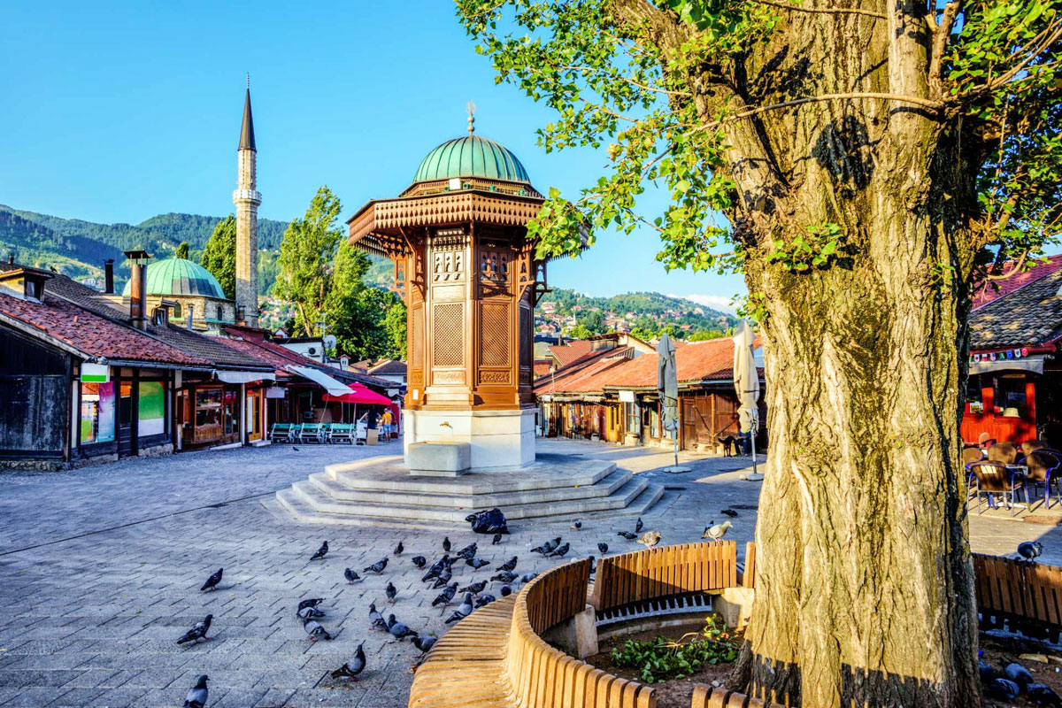 Saray Bosna Rüyası