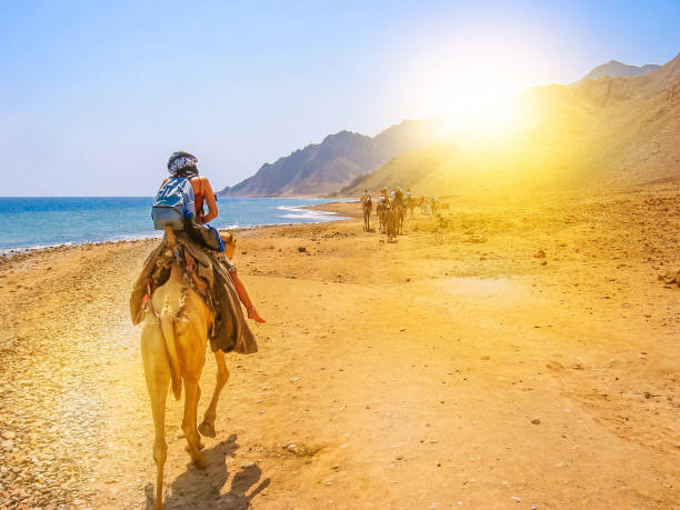 SHARM EL SHEIKH TURLARI Pegasus Havayolları ile 3 gece