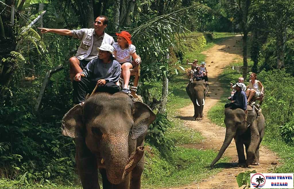 Vizesiz Bangkok & Pattaya & Phuket Turu SalamAir ile
